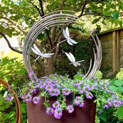 Joy in Stainless Steel